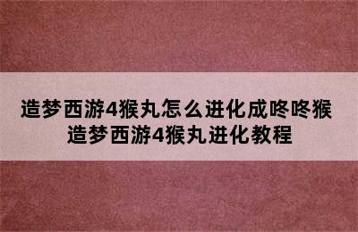 造梦西游4猴丸怎么进化成咚咚猴 造梦西游4猴丸进化教程